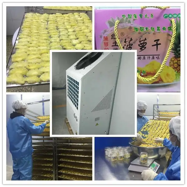 广东-湛江菠萝干空气能热泵烘干机