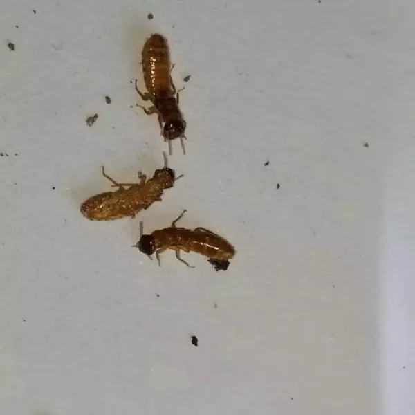 ��ɳ����***���ĵ绰 ��ͥ����*** �ػ����ļ�
