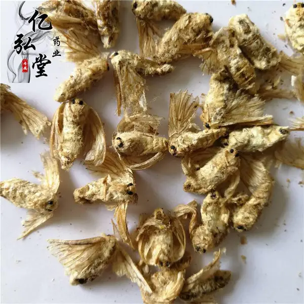 雄蚕蛾价格/蚕蛾多少钱/晚蚕蛾一公斤批发