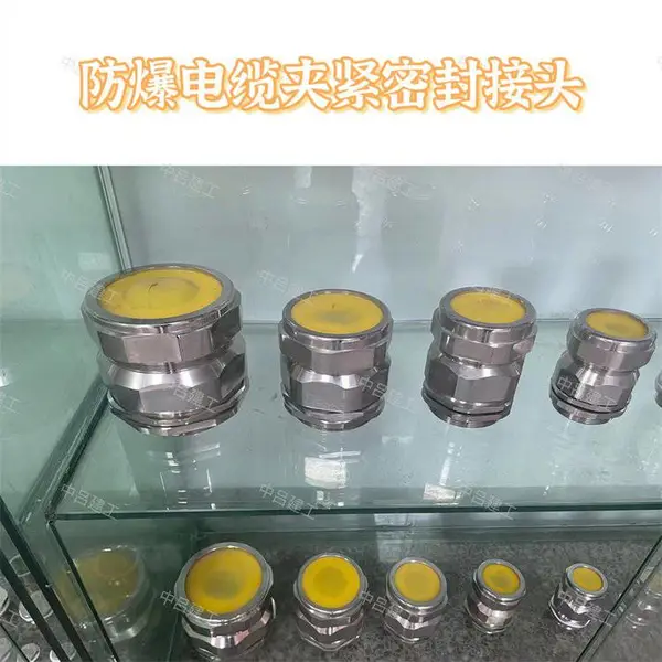 BQM��������ͷ1/2NPT(F)-1/2NPT(M) _ ��ˮ���������ܷ��ͷIP66