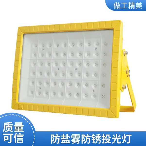 LED防爆投光灯 200W 防爆泛光灯 焦化厂炉顶照明 铸铝防爆壳