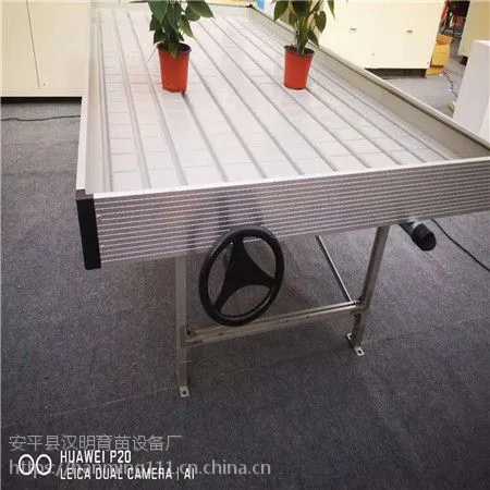 现代潮汐灌溉苗床在种植有机蔬菜中起到的作用
