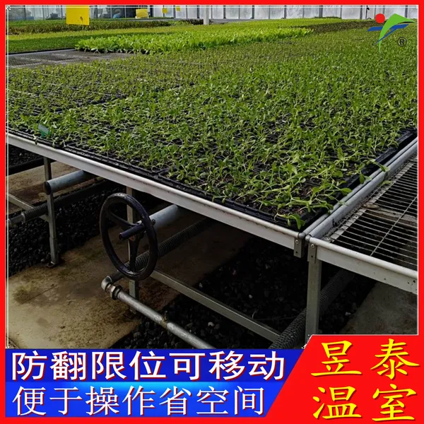 移动育苗床镀锌床网铝合金边框昱泰温室大棚育苗设施YTWSMC1665