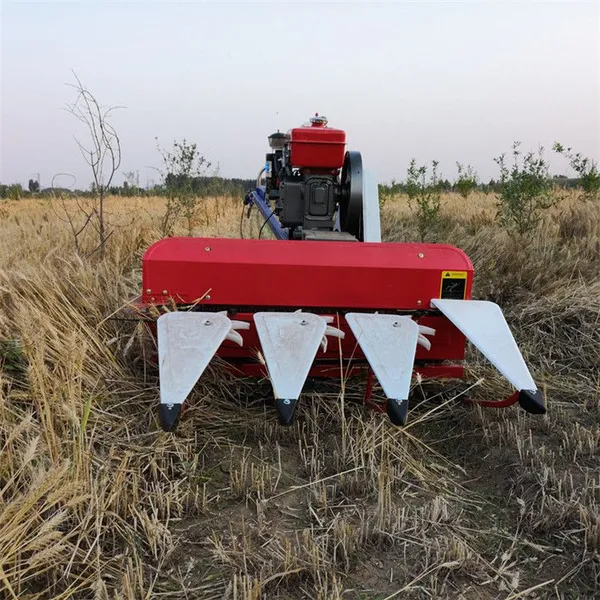 �����ո����̨�����ոѸ�ɹ���ƶ���ֲС���ո��
