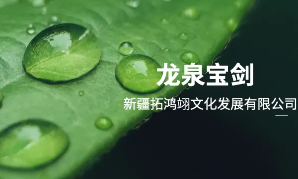 新疆收藏级龙泉宝剑收藏价值 新疆拓鸿翊文化发展供应