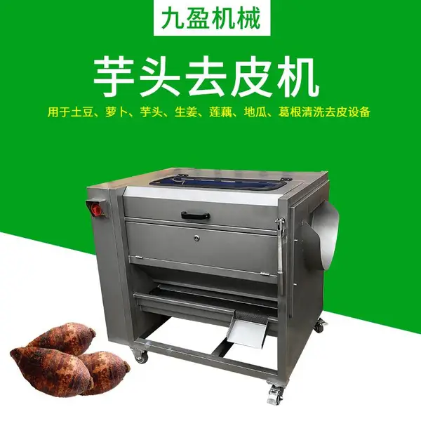 商用不锈钢芋头清洗去皮机JYTP-80土豆萝卜脱皮机 毛刷洗姜机