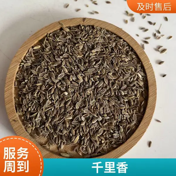 七里香药材 钓鱼小料 千只眼 纯度99% 大货可订出售