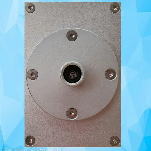 红焦探测器ZDS-100