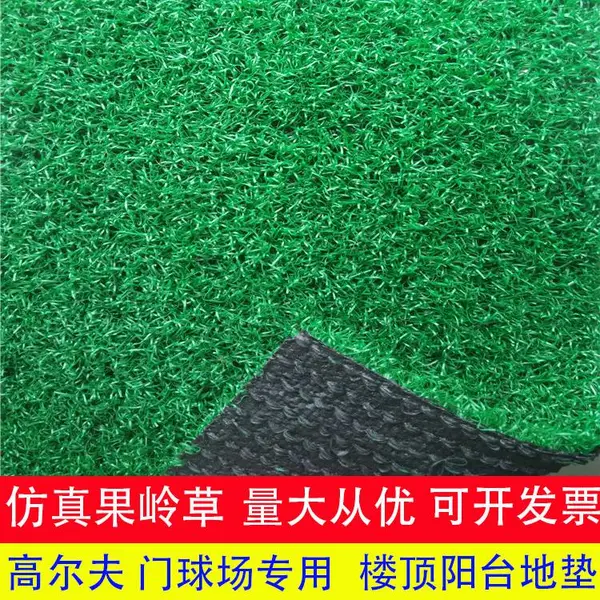 ����߶������������ƺ1����PP���ʷ���������ֲ�ٲ�Ƥ�ص�