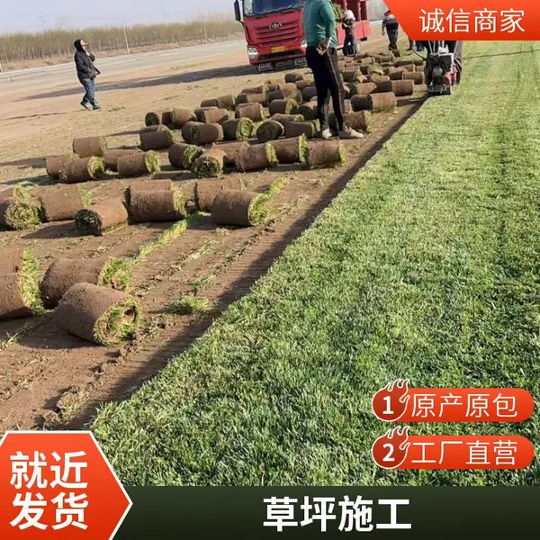 屋顶阳台绿化草坪铺装小区草坪铺装施工私家别墅花园设计基地延庆
