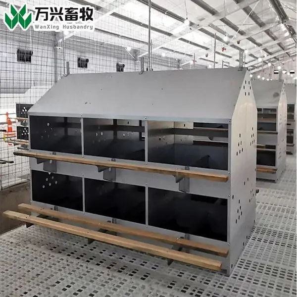 ���ҹ�Ӧ������24Ѩ������˫���Ѩ������ɢ�������� ��������