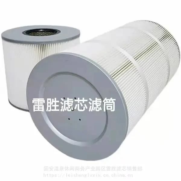 聚酯纤维除尘滤芯防静电筒式除尘滤芯定制 雷胜 规格较多
