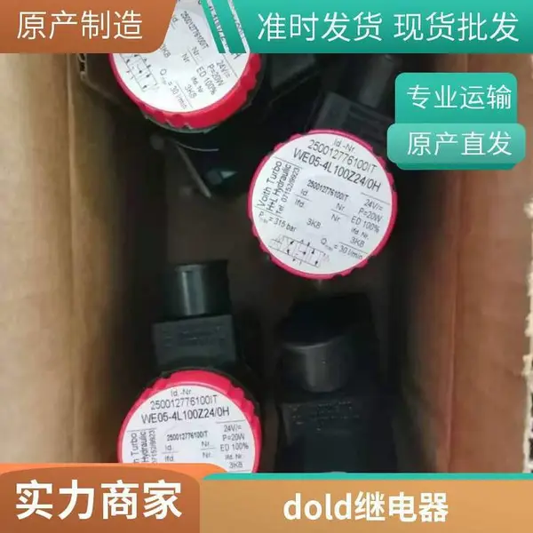 dold�̵���0048717tBD5935.48/61 AC230V 50/60Hz