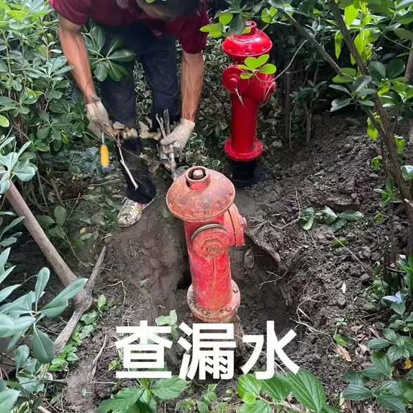 南京五老村住宅渗漏仪器探测漏水点|金牛暗装水管查漏水精准定位