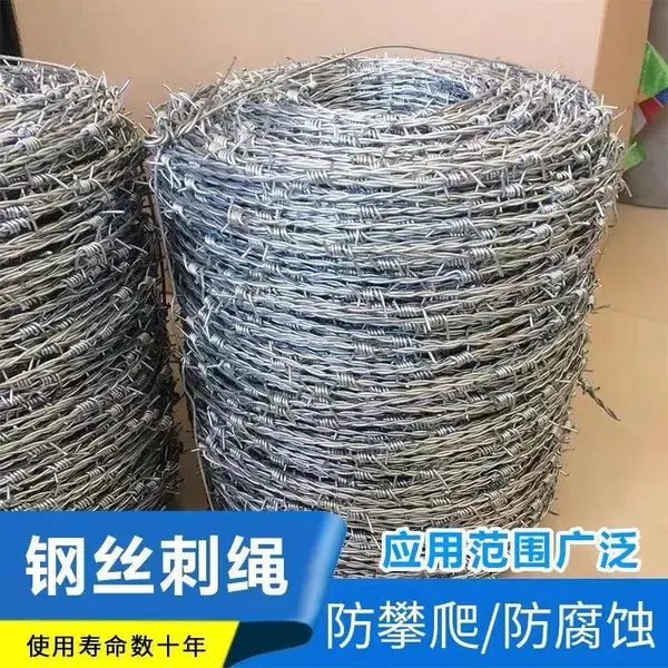 养殖带刺铁丝网 热镀锌刺绳网 刺丝滚笼防盗网