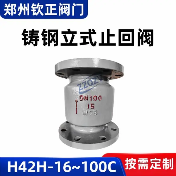 H42H-16C/25/40/64/100铸钢立式止回阀软密封高压弹簧单向逆止阀