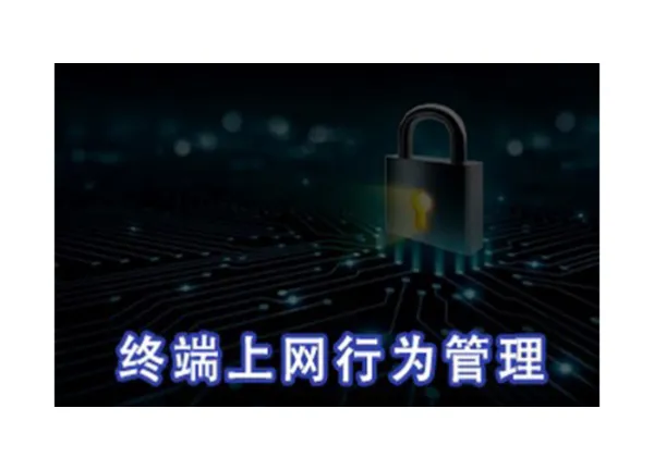 上海企业上网行为管控方案 欢迎咨询 上海迅软信息供应