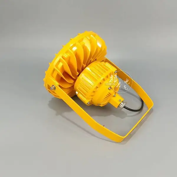 LED防爆投光灯 泛光灯化工厂亮化射灯100W150W