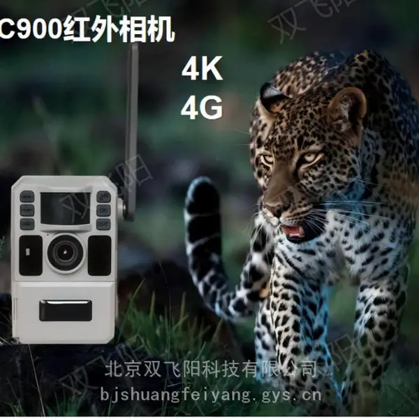 ˫����C900 4G+4K�������