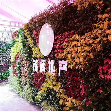 苏州仿真植物墙花盆电话