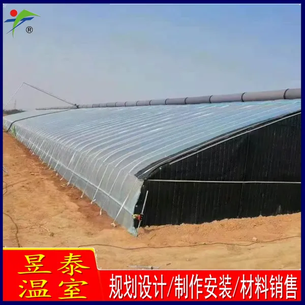 昱泰 水果花卉种植育苗蔬菜大棚 日光温室 YTWSRG10062
