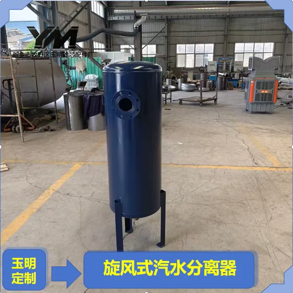 旋风式汽水分离器罗茨风机前端除水保护风机旋风分离器
