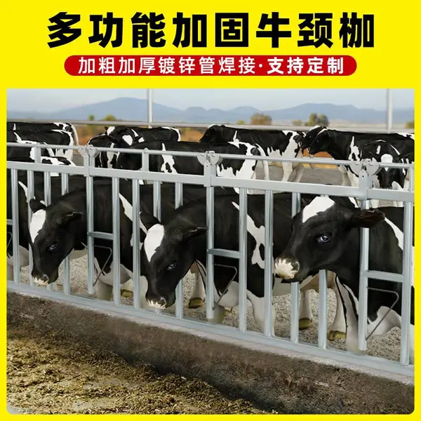 昊牧 热镀锌牛颈枷尺寸 6米8位 自锁式牛颈夹 批发商