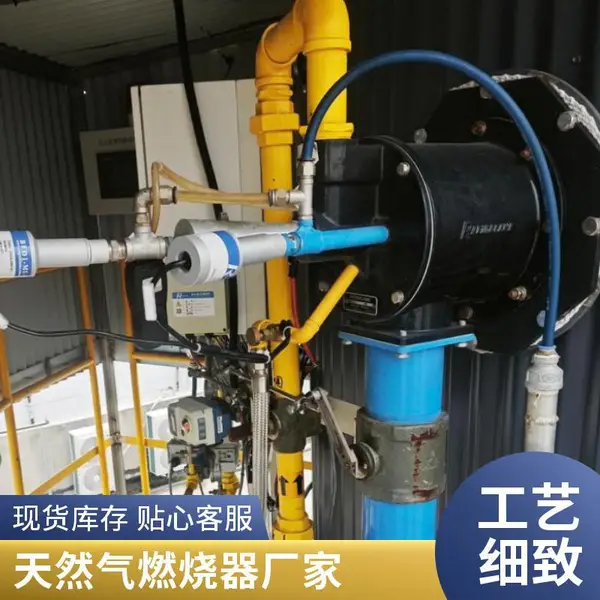 岱鼎燃烧回转窑退火炉燃烧系统 燃气生物质气高炉煤气烧嘴源头厂家