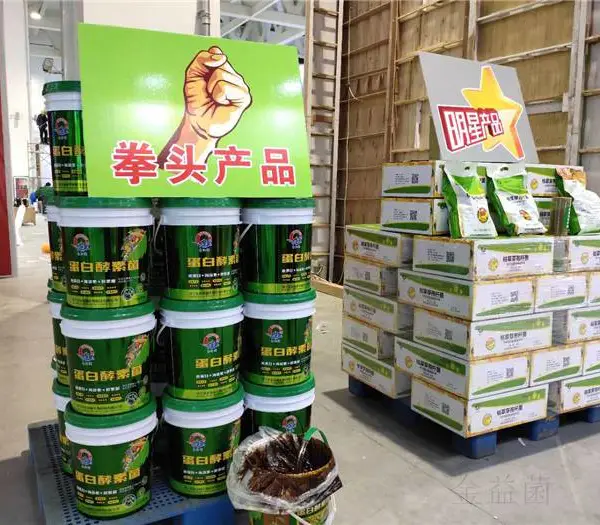 甘肃武威使用济宁金益菌科技公司出品蛋白酵素菌膏状冲施肥全溶速效 蛋白酵素菌水溶肥供应商