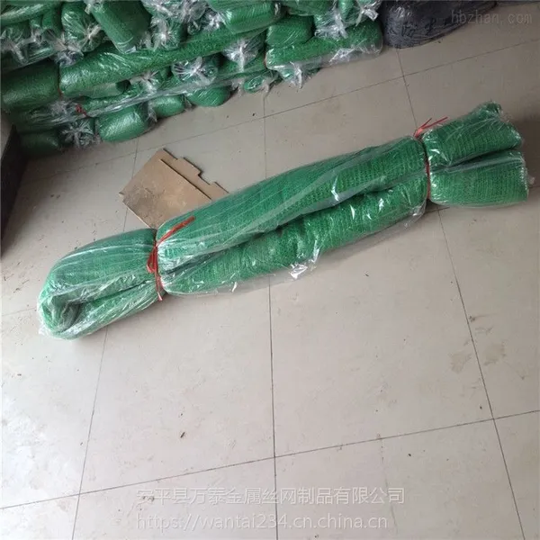 绿色塑料盖土网 保湿防虫网 遮阳网