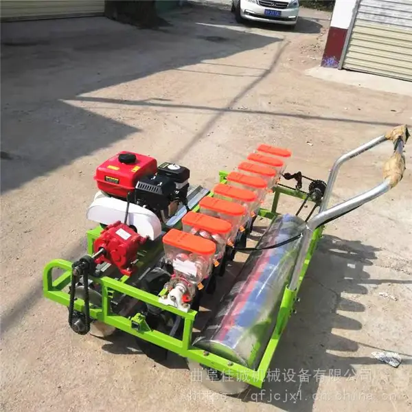 ��������ʽ�ܲ��ײ˲��ֻ��������ֲ���������е�����ֲ��