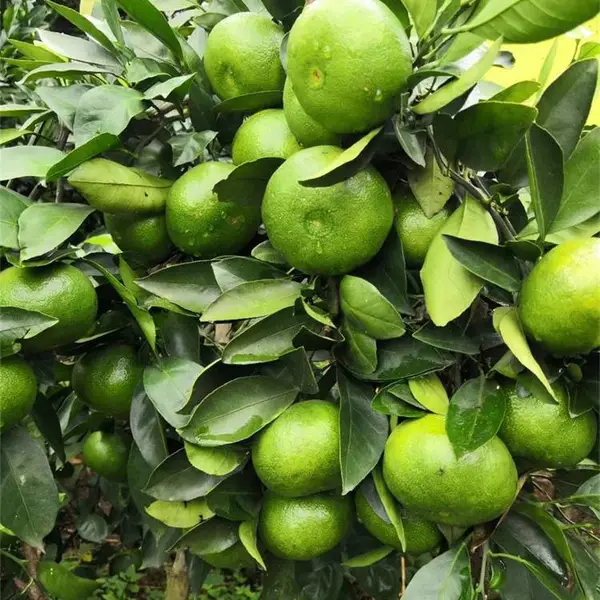 ���ϳ�ɳ�����۽�����ض���Ǯ_�����۽�������