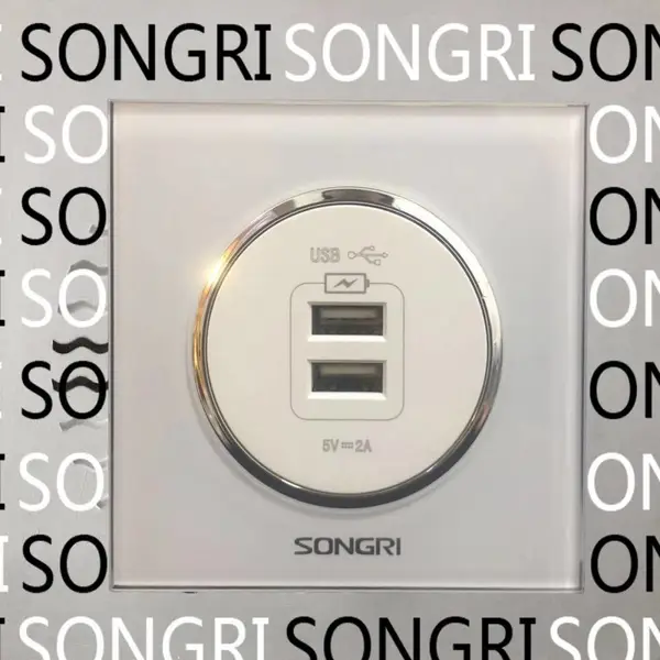 上海松日SONGRI 86型钢化玻璃面板双孔USB插座 二孔数据线接口面板