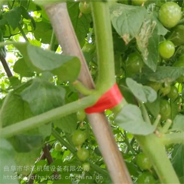 茄苗搭架绑枝机 藤蔓花卉篱笆架捆绑机 自动打钉