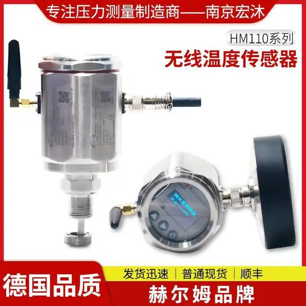 德国汉姆HM110 物联网LoRa NB-IoT 4G WiFi 无线温度传感器