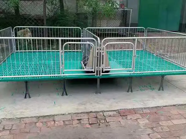 沧州腾硕双体两用复合板单体母猪定位栏仔猪保育床养猪设备