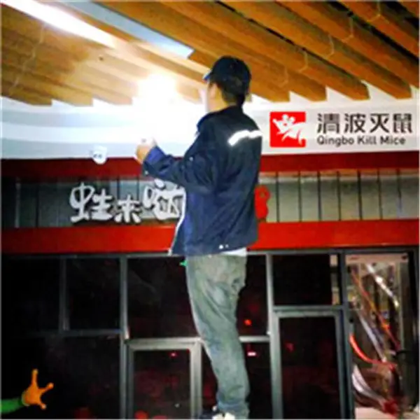 泰安宿舍灭鼠方法-灭鼠-泰安清波