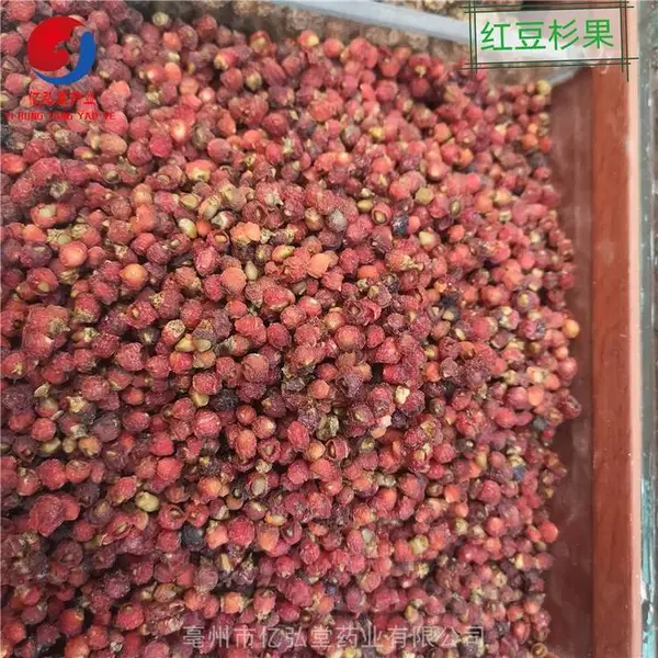 红杉果批发 红杉果市场批发亳州