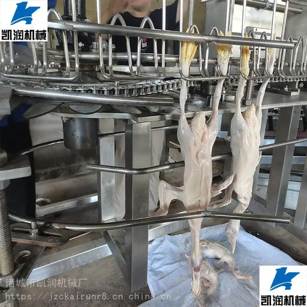 禽爪全自动切割机 鸡鸭鹅雁割爪机 宰杀流水线