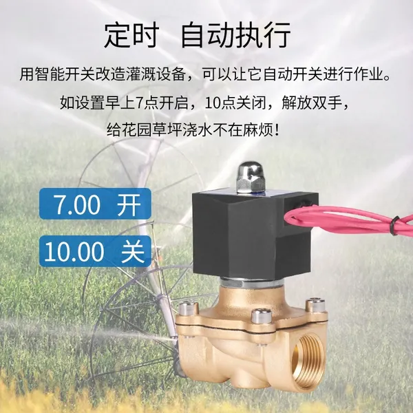 220V24电子水管开关阀无线WIFI智能电控阀远程遥控水阀铜阀