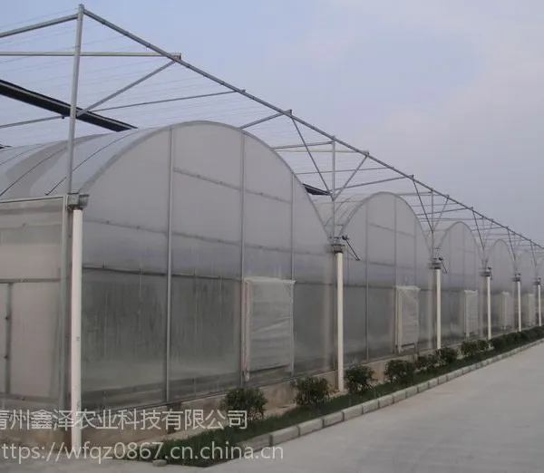 南京的薄膜温室哪里有建的 薄膜连栋温室大约都在多少钱一平方