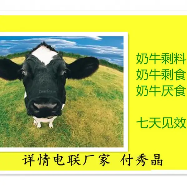 增加产奶量奶牛益生素解决奶牛剩料多
