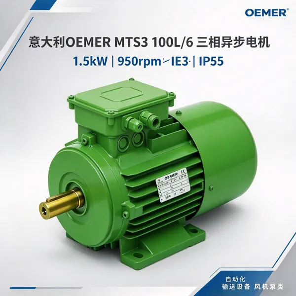 意大利OEMER MTS3 100L/6三相异步电机 1.5kW IE3 泵风机输送设备用
