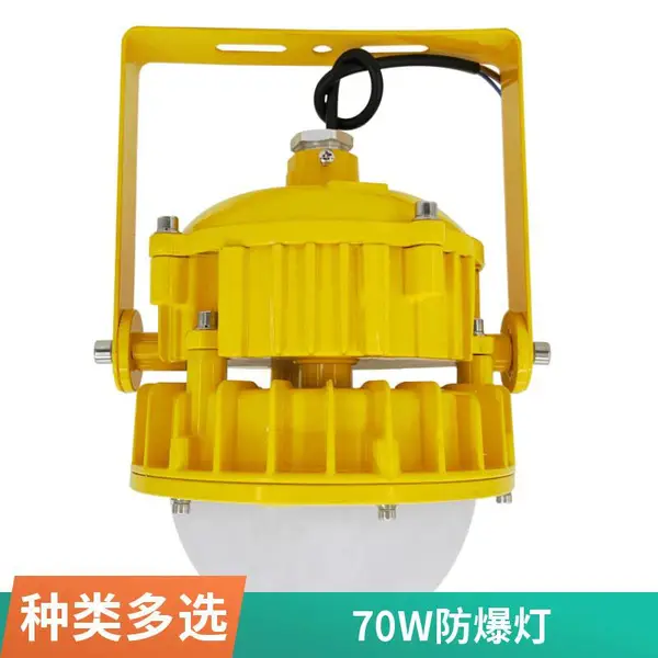 防爆灯 LED防爆泛光灯 180W 油气罐区防爆照明 壁装式