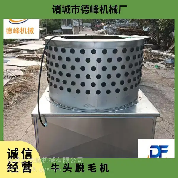 鲜牛头烫后打毛机 驴头蹄褪毛机 圆桶式立式卧式结构