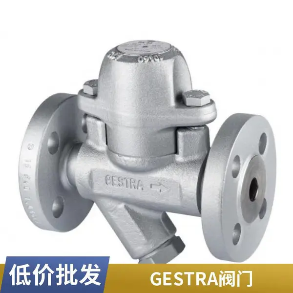 �¹�GESTRA ��������������, ͨ���ֶ����� TS 36