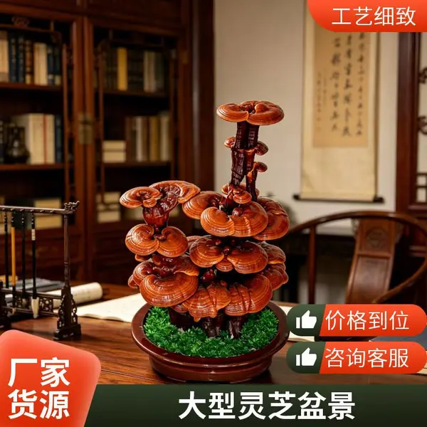 大型灵芝盆景批发 活体嫁接工艺 自然成型盆景灵芝 基地源头厂家
