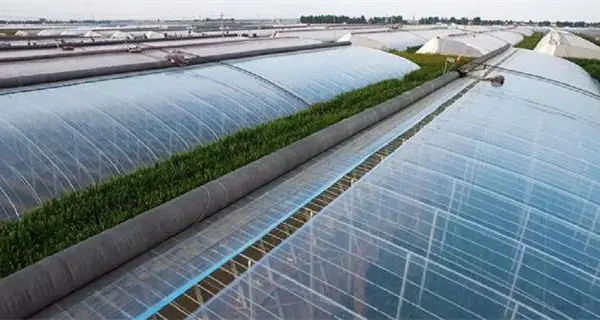 江西大棚地膜哪里有卖的 山东守正塑业供应