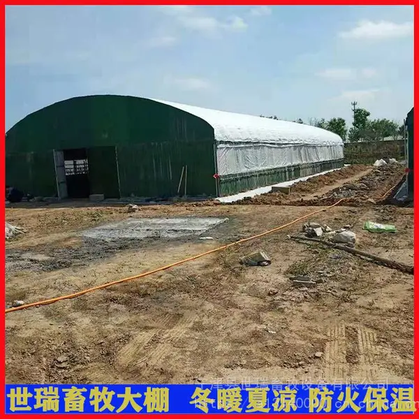 养牛大棚建设 宁津县世瑞畜牧设备 肉牛养殖大棚搭建