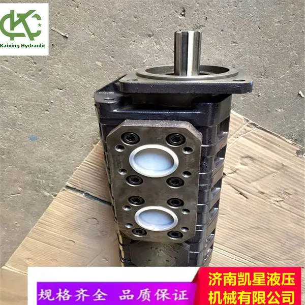 jhp泵渔船用泊姆克齿轮泵PT257B367DXZA10液压工程机械元件零售维修